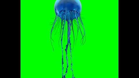 Green Screen - UNDERWATER JELLYFISH | ROYALTY FREE | FREE TO USE IN ANY PROJECT