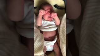 Hungry Newborn Crying//One-week-old baby Finn Tresize is hungry for his morning milk//Gary Tresize//