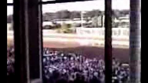 Big Brown Wins Haskell (0803081817.3g2) - August 17, 2008, 12:27 PM