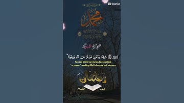تلاوة خاشعة عطرة مباركة جميلة عذبة مميزة طيبة للشيخ ماهر المعيقلي ماتيسر من سورة الفتح