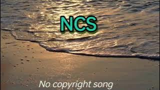 Diviners | Azertion | Feelings..,{ NCS }, No copyright song