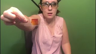 Plant Cell Lab Demo