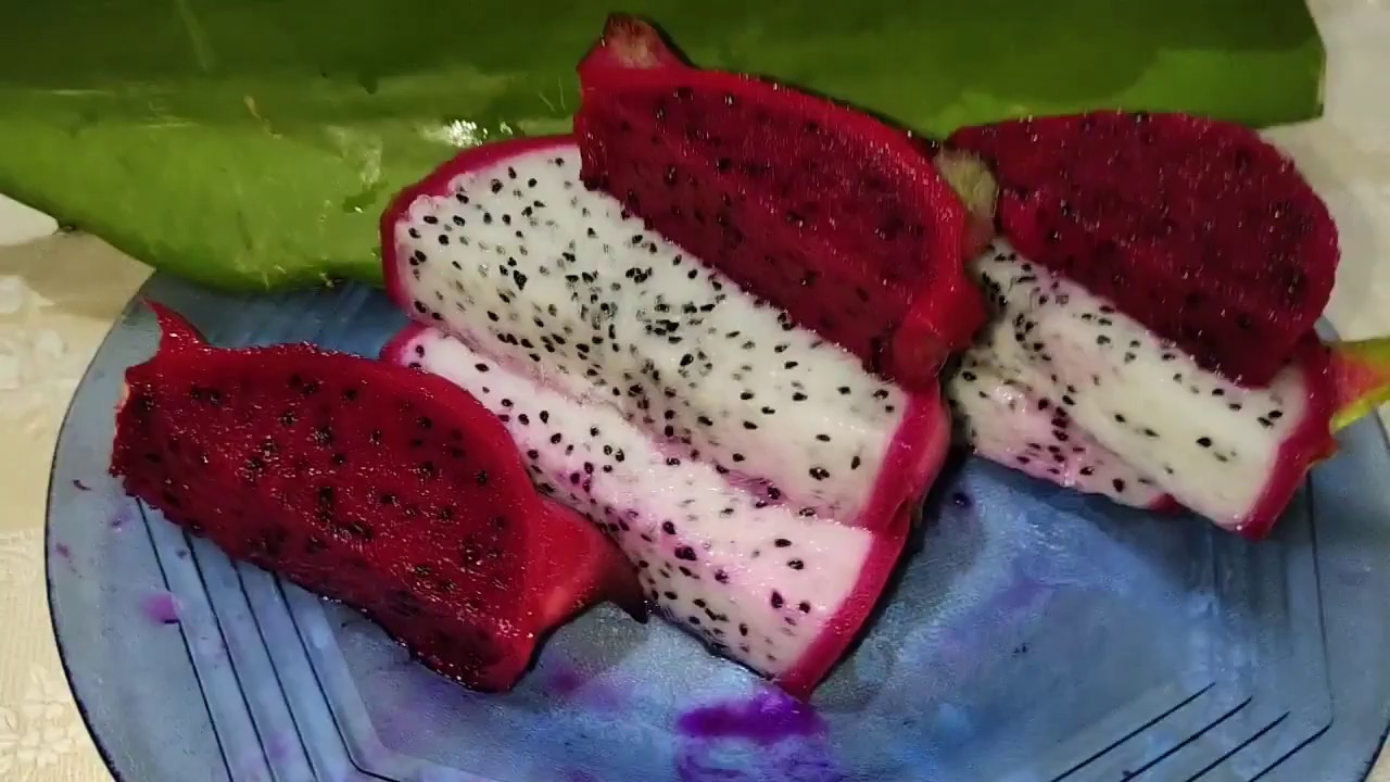How dragon fruit Hybrids looks like on the posts How certain fruits