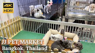 [BANGKOK] Chatuchak Weekend Market Pet Zone 