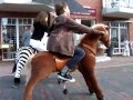 Детские механические лошадки PONYCYCLE (поницикл)