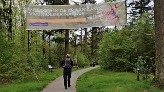 Голландский Лес Весной: Птичьи Голоса, Эльфийские Диванчики и Парковка Для Ведьмочек #лес #весна