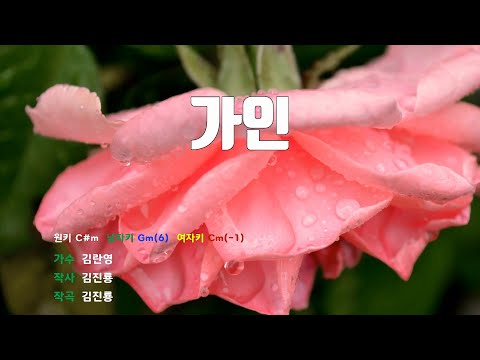 [은성반주기] 가인 - 김란영 /MR/가사