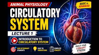 Información Cardiovascular System Introduction | Veterinary Physiology | Lecture 1 | BVSc & AH Noticias