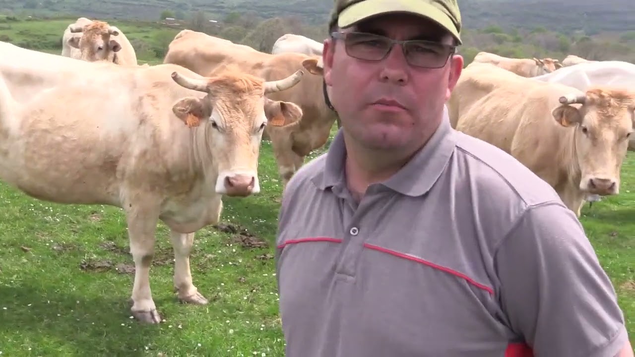 Ganaderos en su hábitat | Pirinaicas en Población de arriba | 10.6.2022