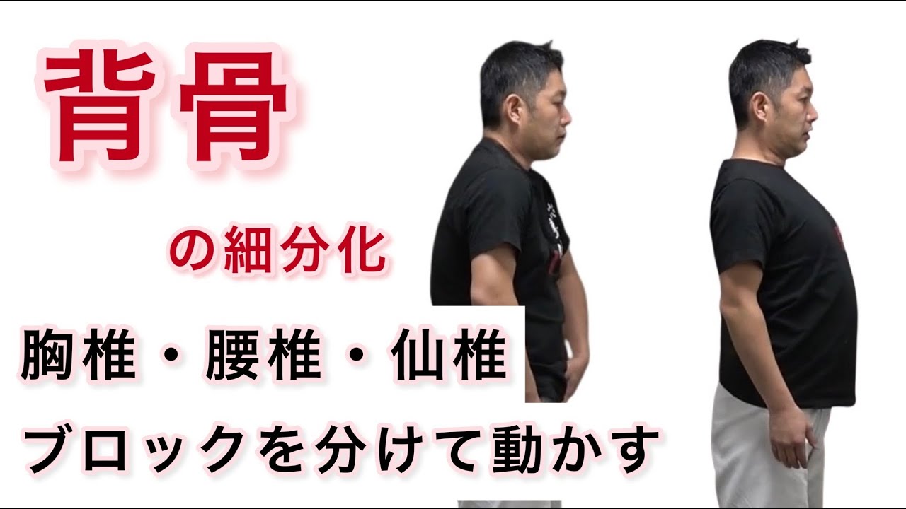 背骨を細分化せよ！カラダを自由自在に「胸椎・腰椎・仙椎」ブロックを