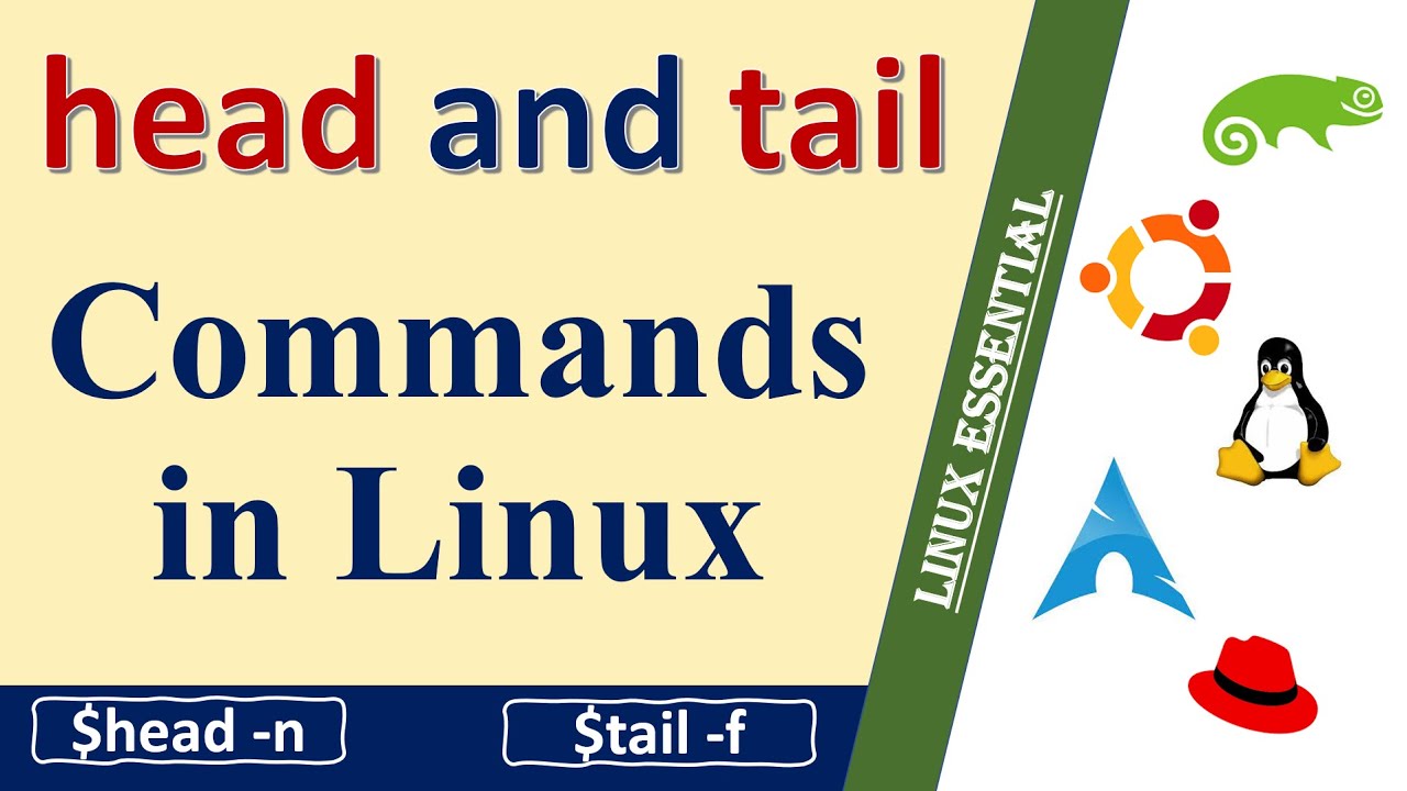 How to use head and tail command in Linux? || head -n || tail -c
