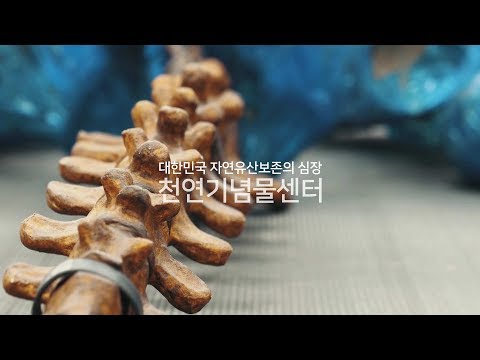 대한민국 자연유산보존의 심장 문화재청 천연기념물센터 재개관 티저영상 매머드복원