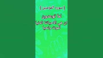 #سورة _المؤمنين #اكتب_شي_تؤجر_عليه #تلاوة_خاشعة #ياسر_الدوسري #اجر_لي_ولك