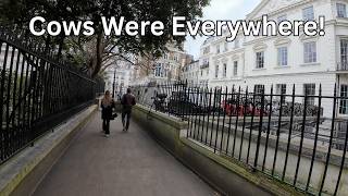 Milkmaids Passage Explored - London's Cow Discovery!