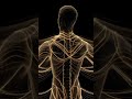 How Hormones Influence Emotions in Women | Real Science