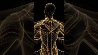 How Hormones Influence Emotions in Women | Real Science