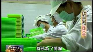 20111204 TVBS 一步一腳印 發現新台灣 - 友情萬歲芽菜苗 2/2