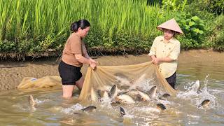 Yen Chi and her mother caught fish to release into the fields for the winter season