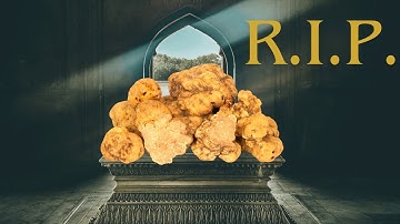 Onze truffelbossen redden in het nieuwe jaar