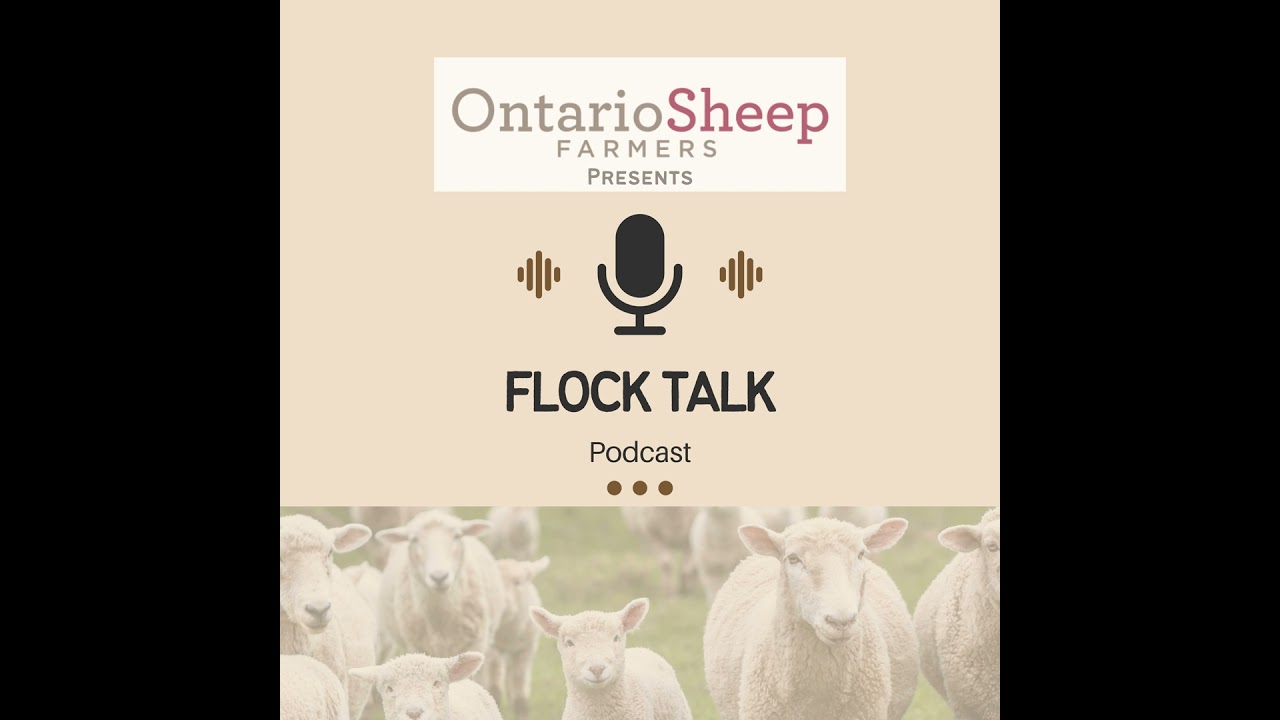 Canadian Sheep Breeders Association with Sarah Brien