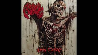 Download Lagu Atoll - Human Extract (2023) [Full Album] MP3