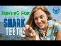 Hunting for 50 MILLION year old Shark Teeth!!! | Maddie Moate