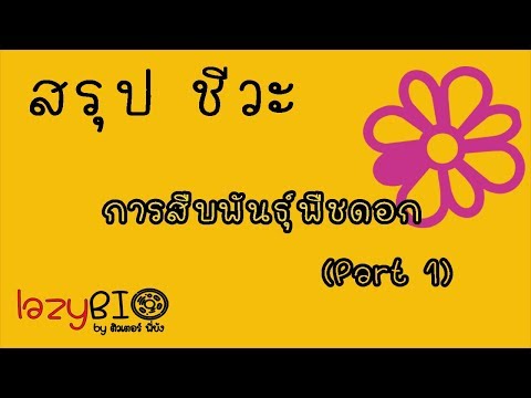 สรุปชีวะ การสืบพันธุ์พืชดอก ep1