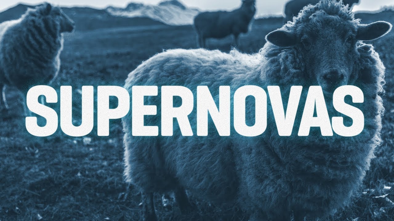 Cientistas criam quimeras de ovelha com células humanas - SUPERNOVAS superliga argentina