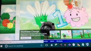 Introducing Insanipedia - The Object Madness!! Wiki!