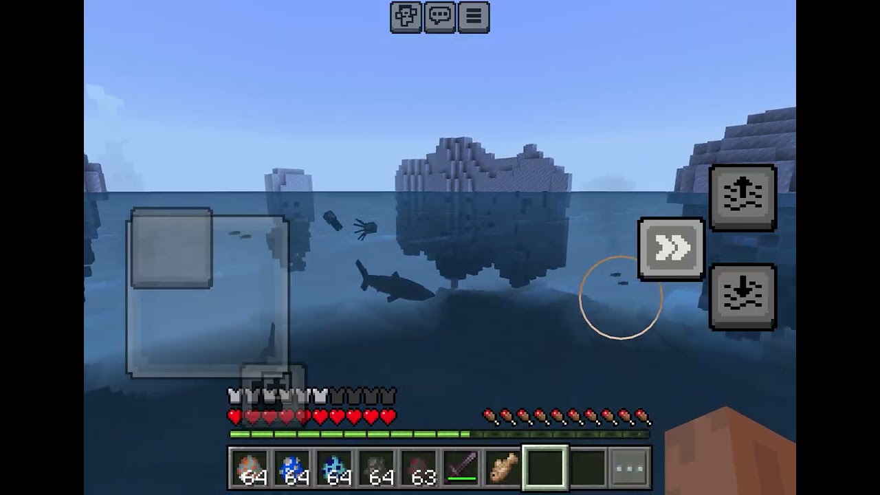 Whale shark sighting!