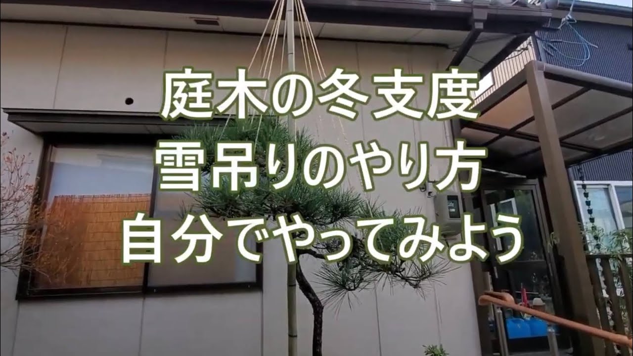 どか雪対策 樹木を守ろう 雪吊りの仕方 説明欄をご覧下さい Youtube どか雪対策 樹木を守ろう 雪吊りの仕方 説明欄をご覧下さい Youtube