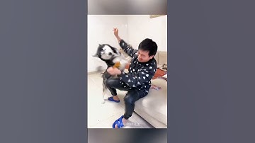 Best Funny Memes and Videos 😂 TRY NOT TO LAUGH #44