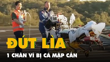 Vận động viên lướt sóng người Úc bị cá mập trắng cắn đứt lìa một chân