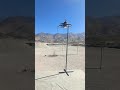 3.5" fpv ciniwoop doing obstacles #fun #djmavic #beltfpv #drone #