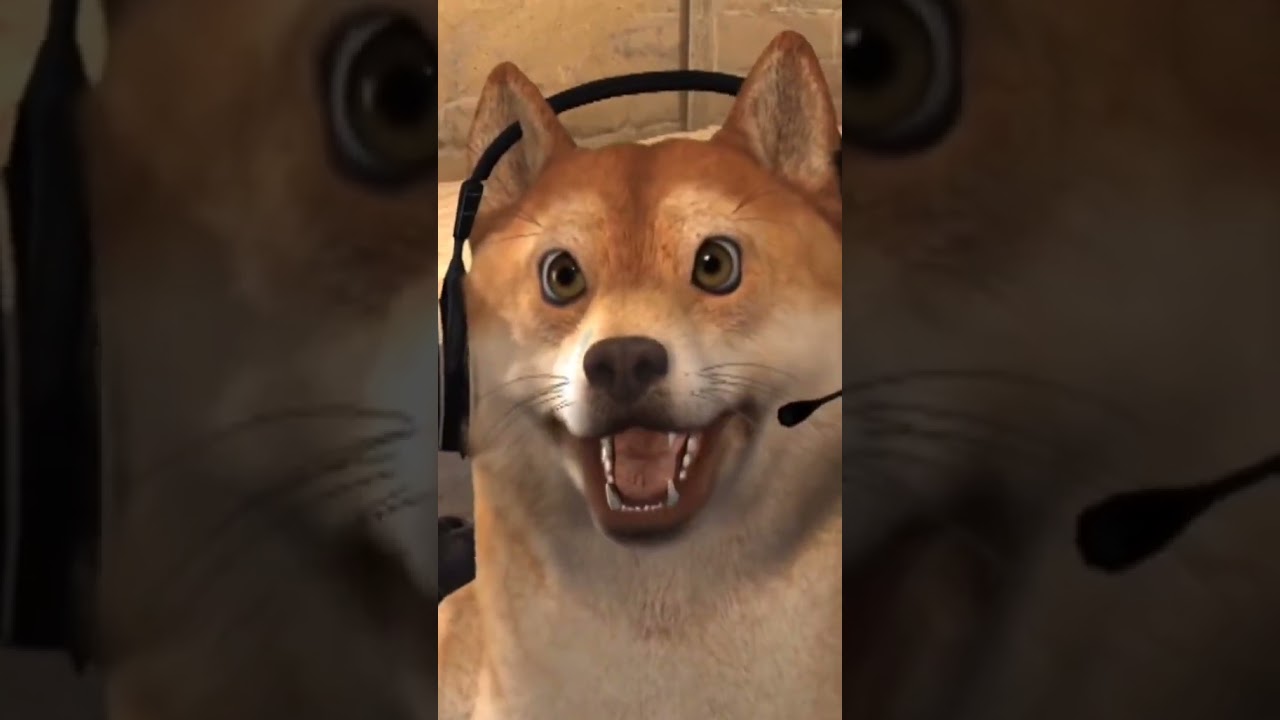POV: You feed your dog