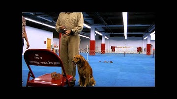 Utility Scent Discrimination