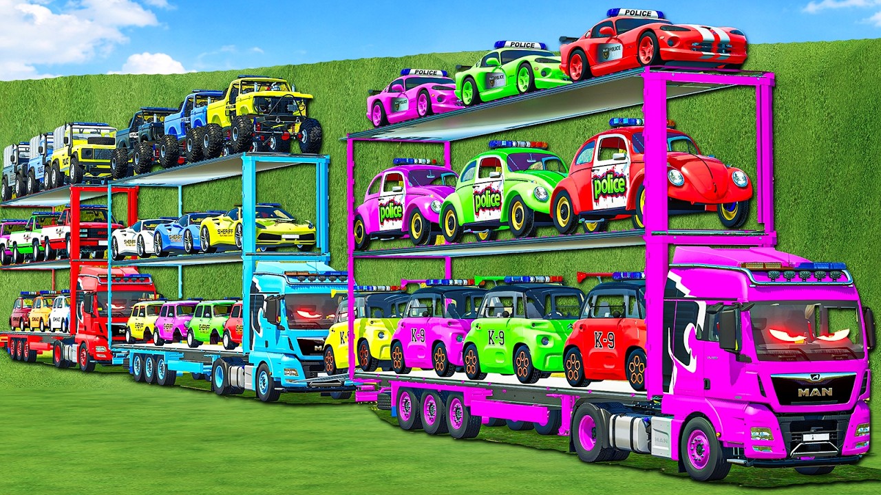 TRIPLE DECKER MAX LOAD TRANSPORT POLICE, AMBULANCE,FIRE DEPARTMENT