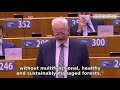 Europe needs healthy forests to fight climate change
