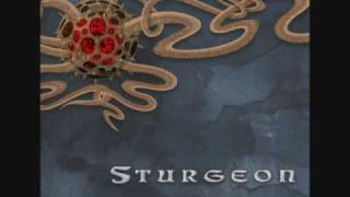 Watch Sturgeon Solstice video