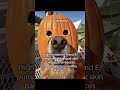 #sponsored #betterwild #dogallergies #dogsoftiktok #dogs