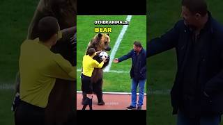 Other Animals vs Football + HIM 💀