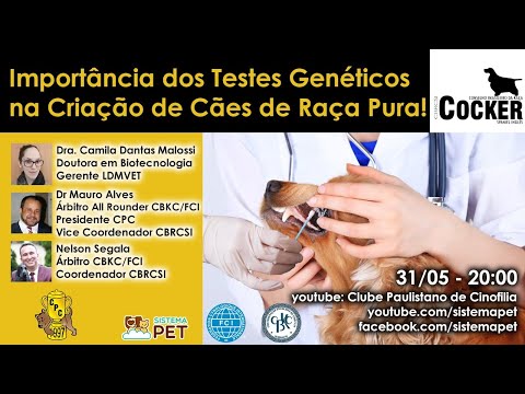 Vídeo: Importância Da Pesquisa Sobre Raça Pura