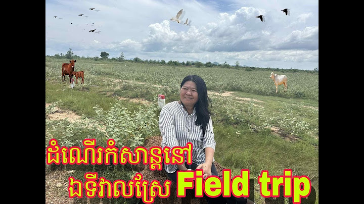 pinea travel vlog, Seaside trip, Mountain forest tour, Walking on the river, Field trip,  the park,
