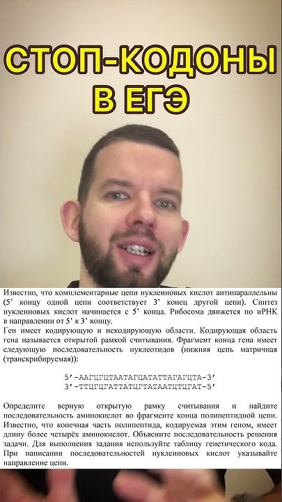 Стоп-кодоны в ЕГЭ по биологии - YouTube