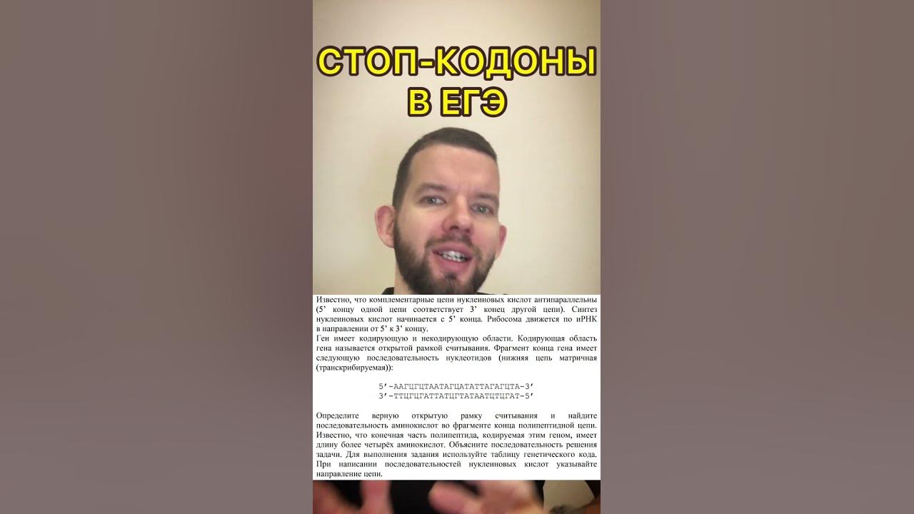 Стоп-кодоны в ЕГЭ по биологии - YouTube