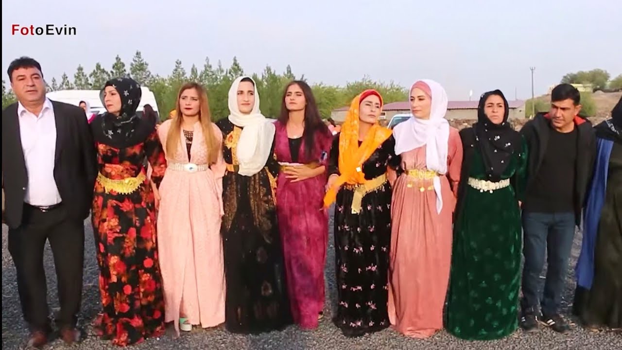 Şevko Halayı Viranşehir Yeni 2021