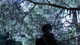 LILRAE2K - SERENITY [ Visualiser]