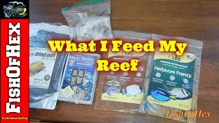 What Do I Feed My Reef? | Subscriber Request screenshot 5