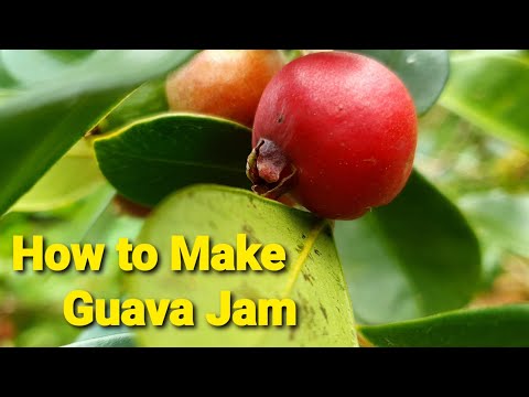 How to Make Guava Jam / Cherry Guava Jam