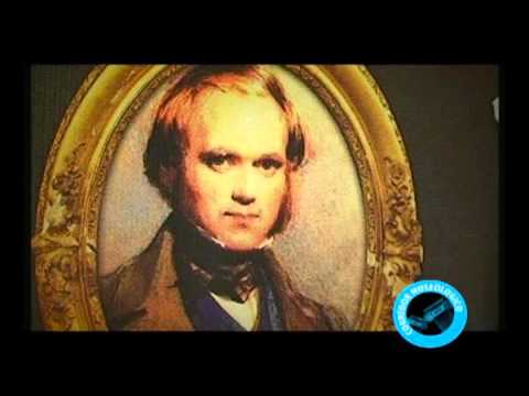 Video: Exhibiciones asombrosas del Museo Darwin